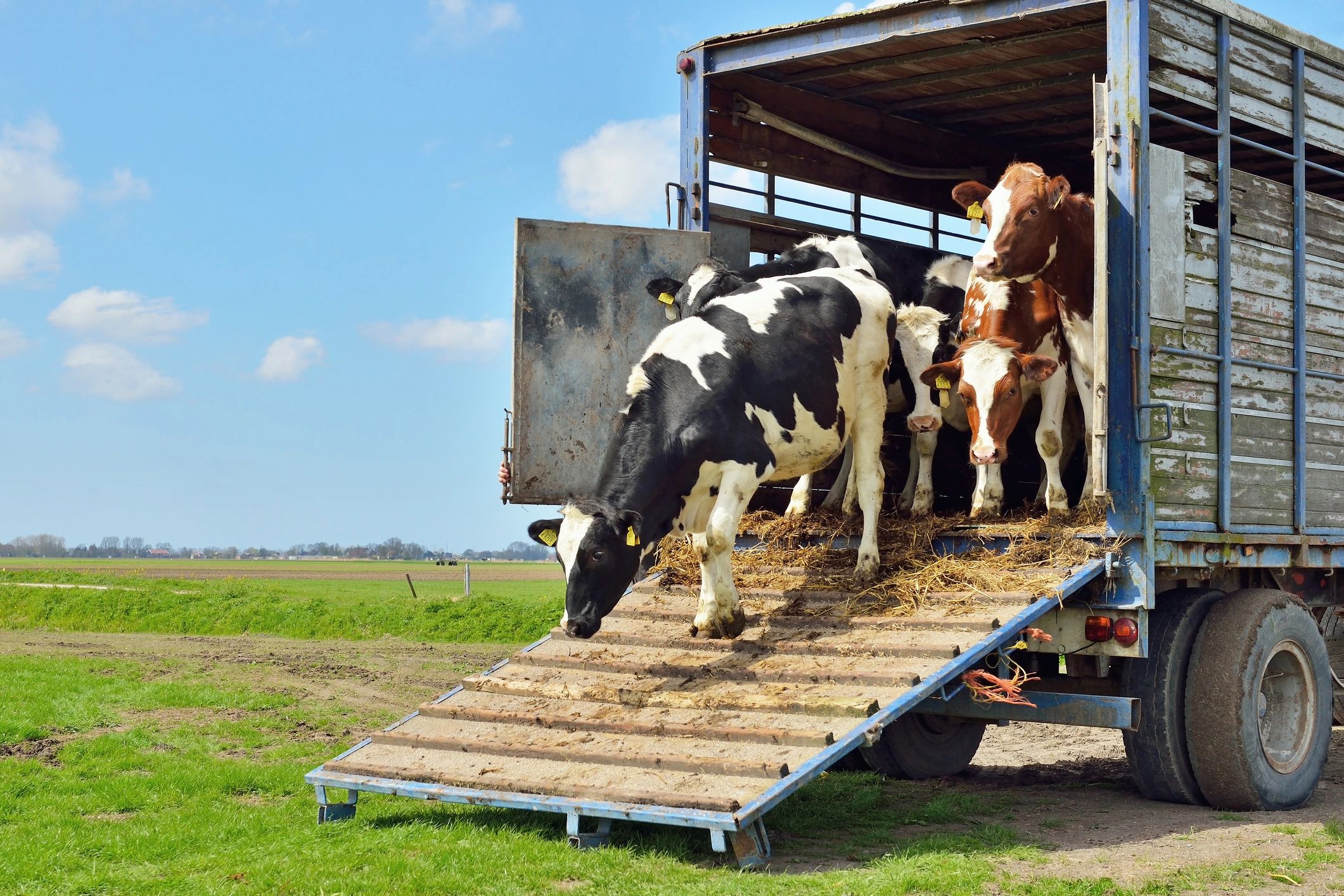 Rural Farm Installation